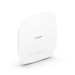 NETGEAR 3000 Mbit/s White Power over Ethernet (PoE) (WAX615-100EUS)